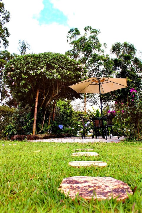 Spring, Day, Garden, Garden view, Breakfast