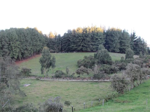 Cabaña Campestre Katie Villa in Cundinamarca, Colombia