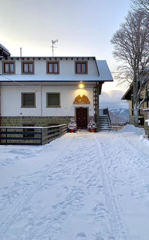 Property building, Property logo or sign, Winter