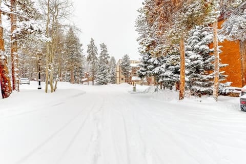 Mother Lode C1 Apartment in Breckenridge