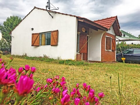 Property building, Facade/entrance, Garden