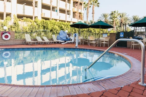 Bird's eye view, Swimming pool