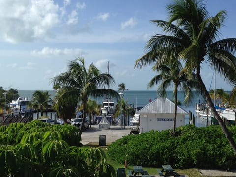 Garden, Sea view