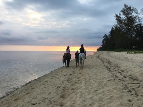 Horse-riding, Beach, Sunset