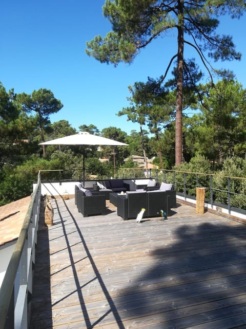 Balcony/Terrace, Garden view