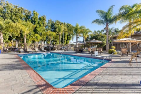 Pool view, Swimming pool