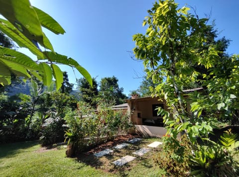 Natural landscape, Garden view