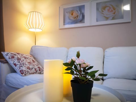 FilinHome Supljikca Suite Apartment in Novi Sad