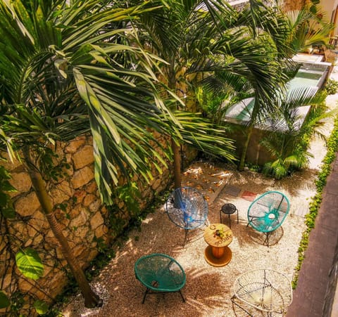 Garden view, Pool view