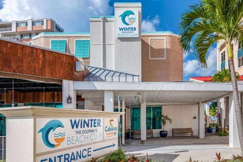 Winter the Dolphin's Beach Club, Ascend Hotel Collection Hôtel in Clearwater Beach