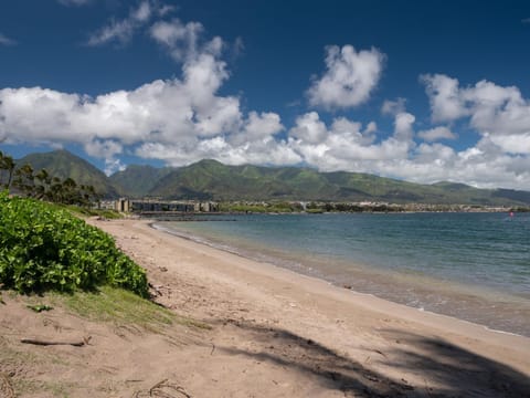 Maui Seaside Hotel Hôtel in Kahului