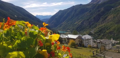 Casa Lo Tzé Appartamento in Valtournenche