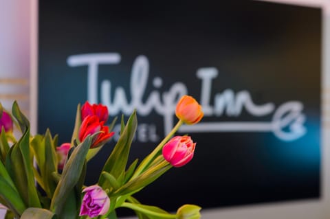 Tulip Inn Ludwigshafen City Hotel in Mannheim