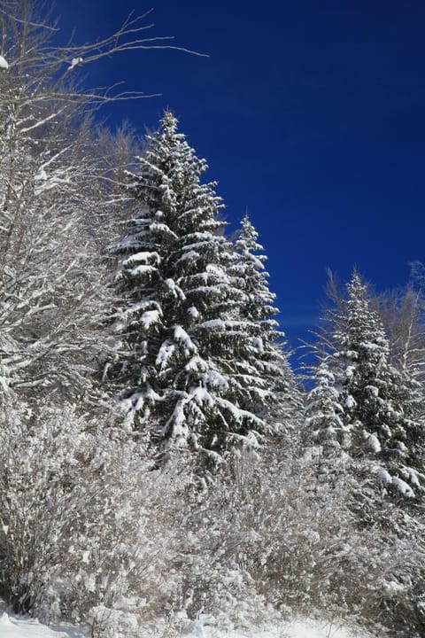 le refuge des Marmottes Chalet in Jura