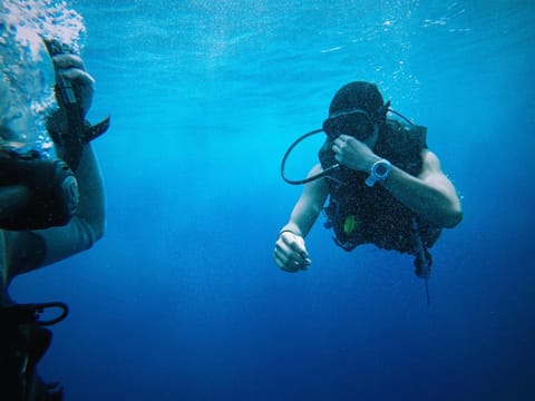 Snorkeling, Snorkeling, Diving, Diving