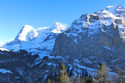 Chalet Raufthubel Condominio in Murren