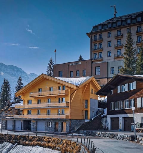 Chalet Raufthubel Condo in Murren