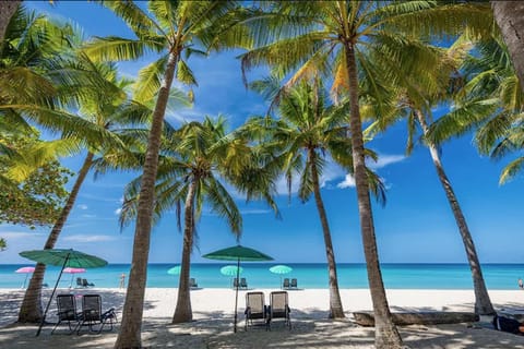 Nearby landmark, Day, Beach