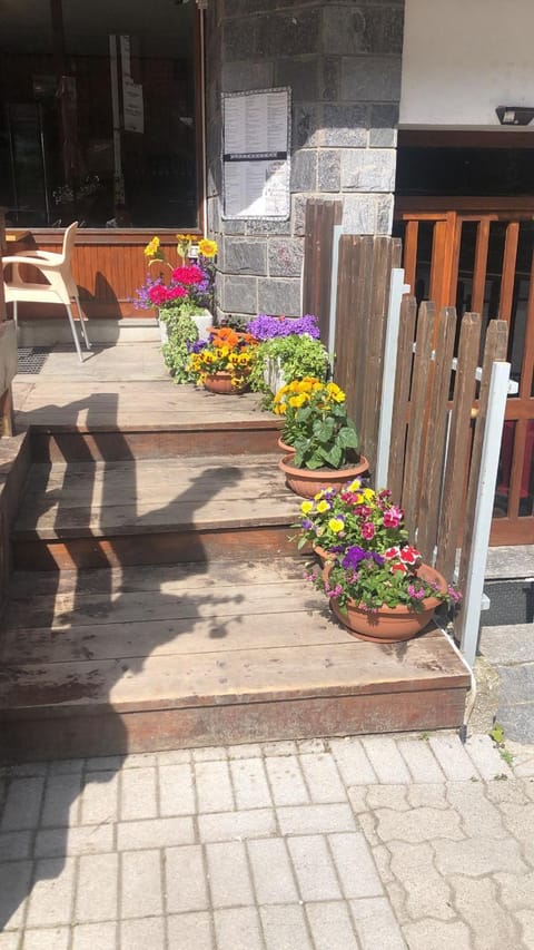 San Luigi - Rooms & Apartments Bed and Breakfast in Canton of Grisons