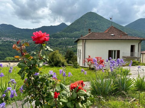 Luxury Villa with Garden&Swimming pool Apartment in Canton of Ticino