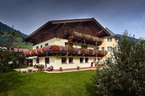 Day, Summer, Garden, Balcony/Terrace, On site