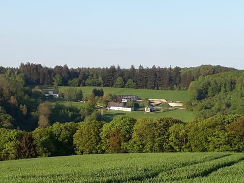 Property building, Natural landscape