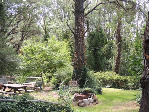 Aldea del bosque Chalé in Villa Ventana