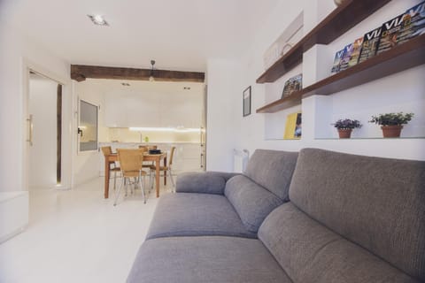 Heriz - Local Rentss Apartment in San Sebastian