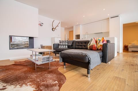 Living room, kitchen