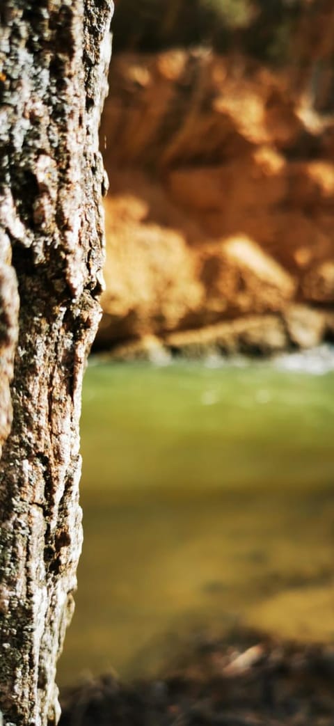 Nearby landmark, Natural landscape, Mountain view, River view