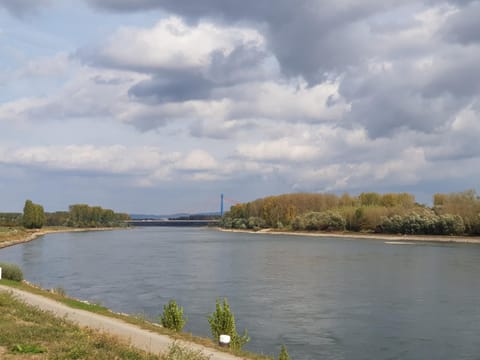 Wohnen direkt am Rhein, Zentrums- und Domnah, 55QM Condo in Speyer