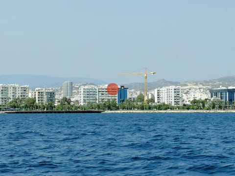 Bird's eye view, Summer, City view