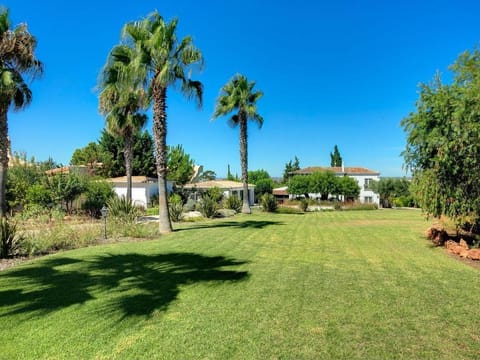 Villa Amendoal luxury villa with private pool AC near Albufeira fabulous countryside views Villa in Guia