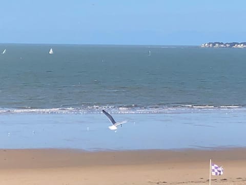 LES CEDRES, Résidence LES OCEANES Appartement in Pornichet