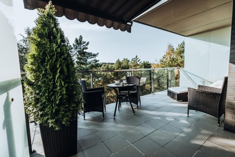 Day, View (from property/room), Balcony/Terrace, Balcony/Terrace, Seating area, Dining area