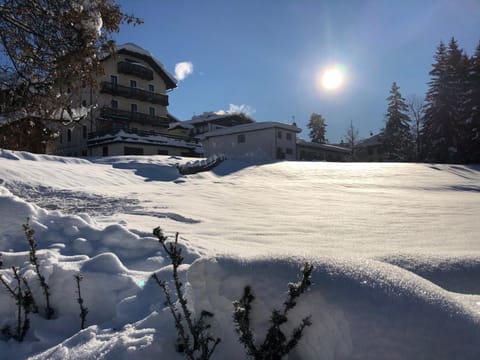 Natural landscape, Winter