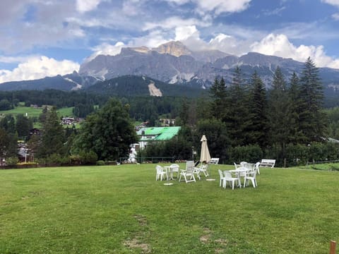 Garden, Mountain view