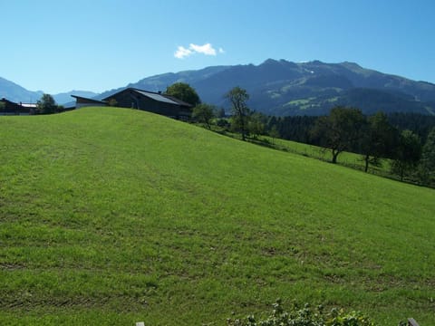 Haus Hubtertus Apartment in Kitzbuhel