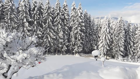 Haus Hubtertus Apartment in Kitzbuhel