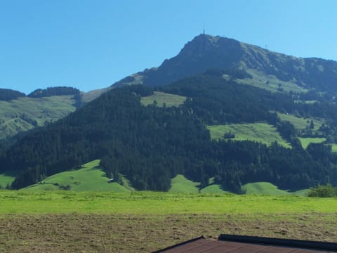 Haus Hubtertus Apartment in Kitzbuhel