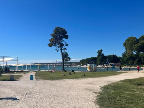 Studio Apartments with Terrace near Sea - Angela's Apartments Apartment in Zadar