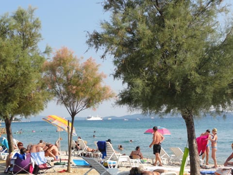 Beach, Area and facilities