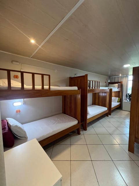 Bed, Photo of the whole room, Bedroom, bunk bed