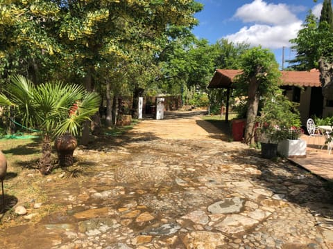 Garden, Parking