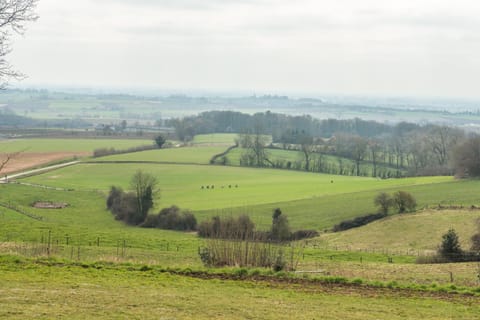 Neighbourhood, Natural landscape, Hiking