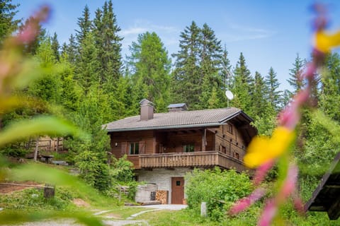 Kronplatz Ski Lodge Chalet in Trentino-South Tyrol