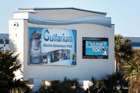 Gulf Dunes 615: Spectacular views,HDTVs, sleeps 8, FREE BEACH SERVICE Condominio in Fort Walton Beach