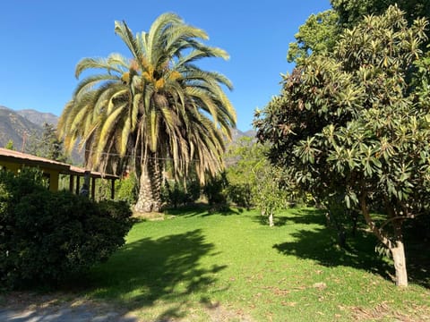 Garden, Garden view