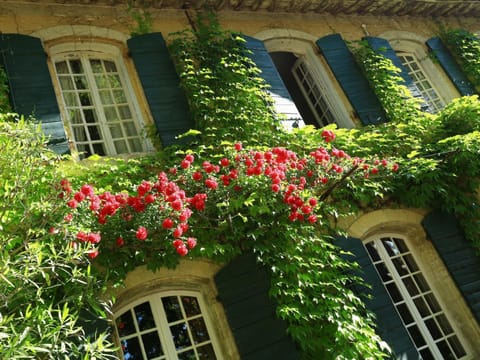 Domaine de Rhodes B&B Übernachtung mit Frühstück in Villeneuve-lès-Avignon