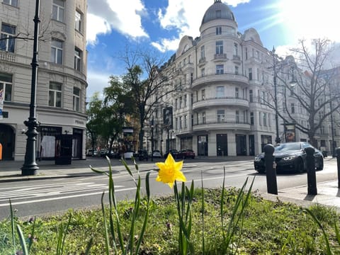 Property building, City view, Street view